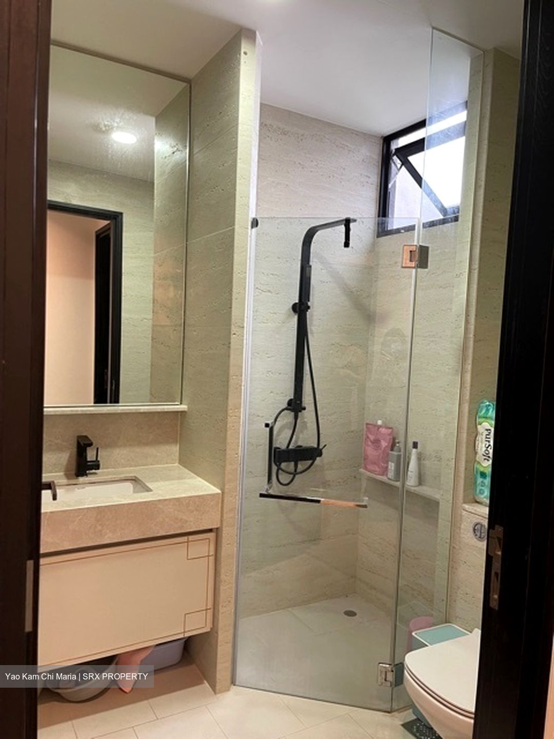 The Asana (D10), Apartment #559980121
